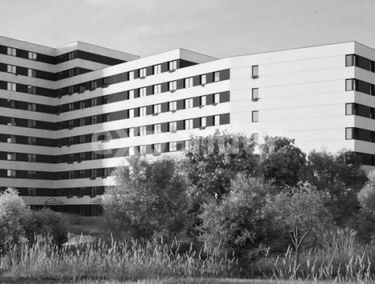 Zdjęcie 15514881