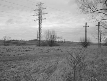 Zdjęcie 15514903