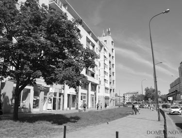 Zdjęcie 15514981