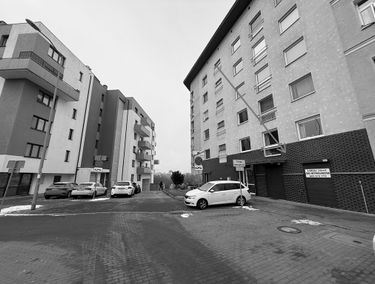 Zdjęcie 15515026
