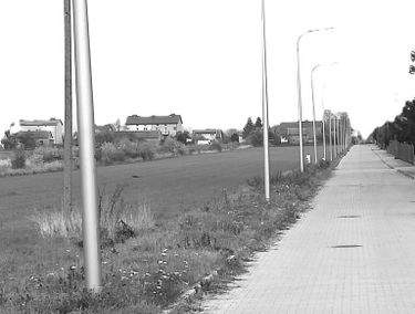Zdjęcie 15515052