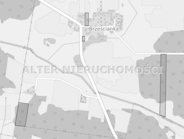 Zdjęcie 15515296