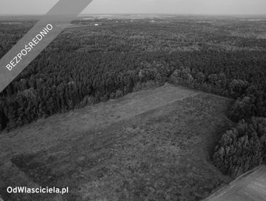 Zdjęcie 15515808