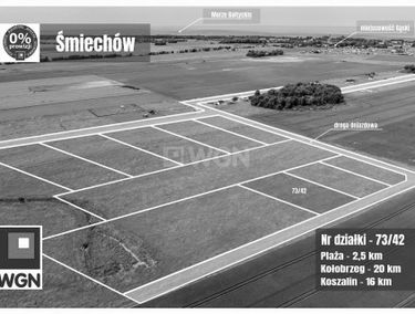 Zdjęcie 15516392