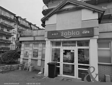 Zdjęcie 15516479