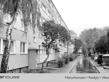 Zdjęcie 15516820