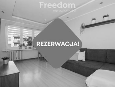 Zdjęcie 15516916