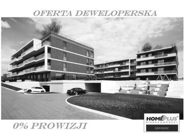 Zdjęcie 15517249