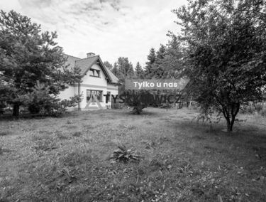 Zdjęcie 15517692