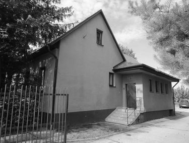 Zdjęcie 15517840