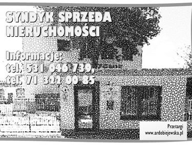 Zdjęcie 15517887