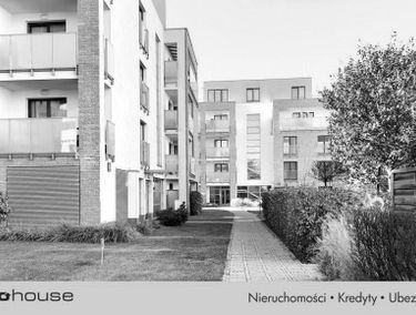 Zdjęcie 15518020