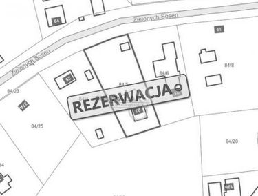 Zdjęcie 15518524
