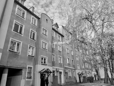 Zdjęcie 15518594