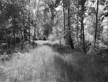 Zdjęcie 15519263