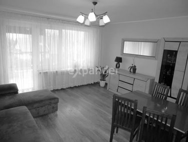 Zdjęcie 15519323