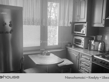 Zdjęcie 15519396