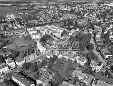 Zdjęcie 15519587