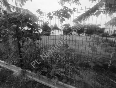 Zdjęcie 15519608