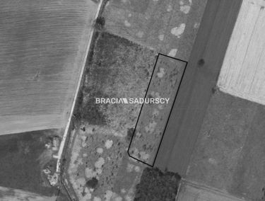 Zdjęcie 15519625