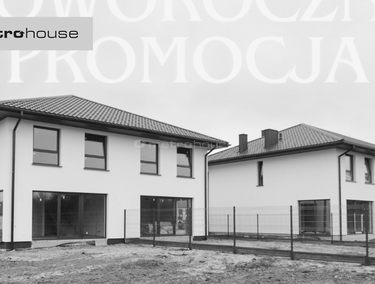 Zdjęcie 15519775