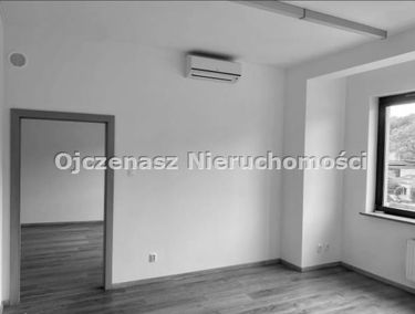 Zdjęcie 15519820