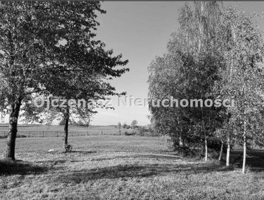 Zdjęcie 15519828