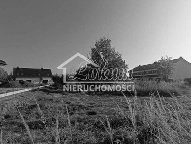 Zdjęcie 15520950
