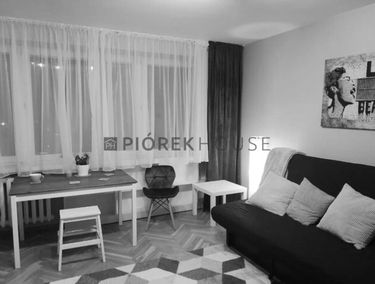 Zdjęcie 15521803