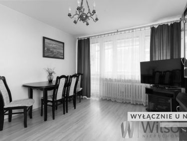 Zdjęcie 15522028