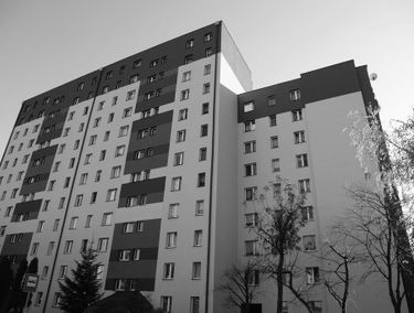 Zdjęcie 15522098