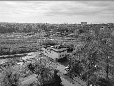 Zdjęcie 15522213
