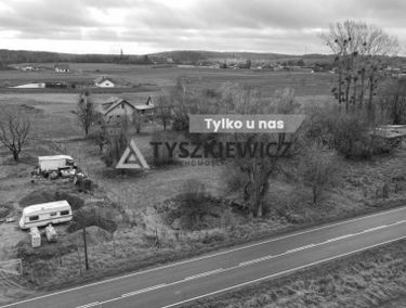 Zdjęcie 15522475