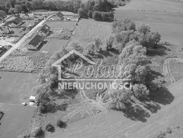 Zdjęcie 15522605