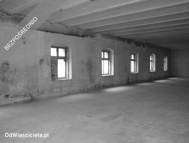 Zdjęcie 15522616