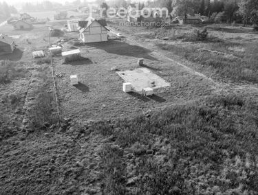Zdjęcie 15522769