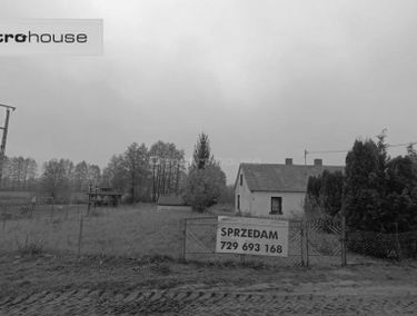 Zdjęcie 15522880