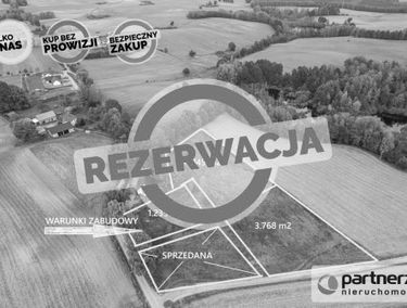 Zdjęcie 15523226