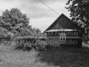 Zdjęcie 15523584