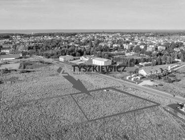 Zdjęcie 15524258