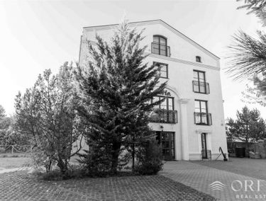Zdjęcie 15524484