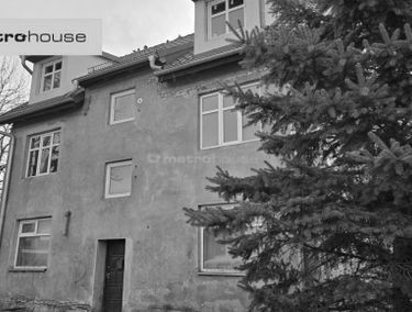 Zdjęcie 15524872