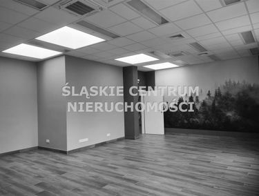 Zdjęcie 15525122