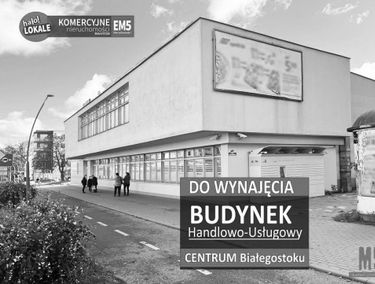 Zdjęcie 15526619