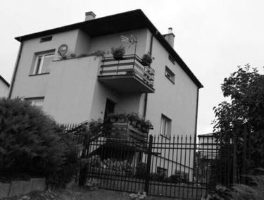Zdjęcie 15526673