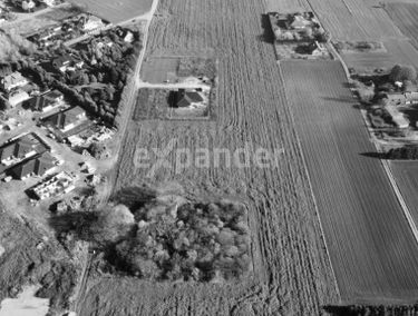 Zdjęcie 15527179