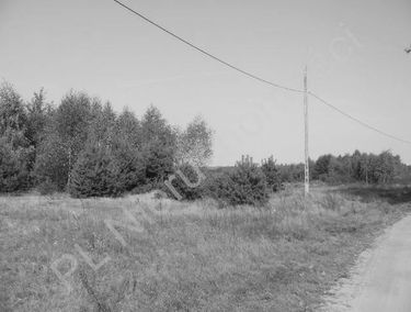 Zdjęcie 15527310