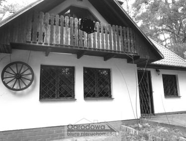 Zdjęcie 15527332