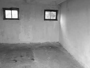 Zdjęcie 15527373