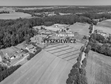 Zdjęcie 15527463